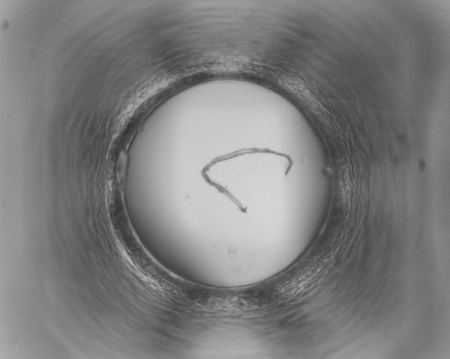 X0000059040728200510281541