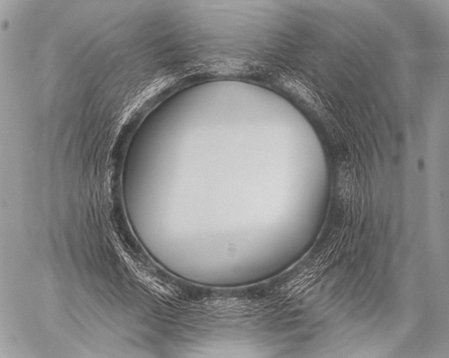 X0000059040730200510281541