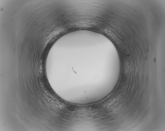 X0000059040731200510281541