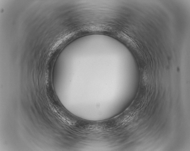 X0000059040732200510281541