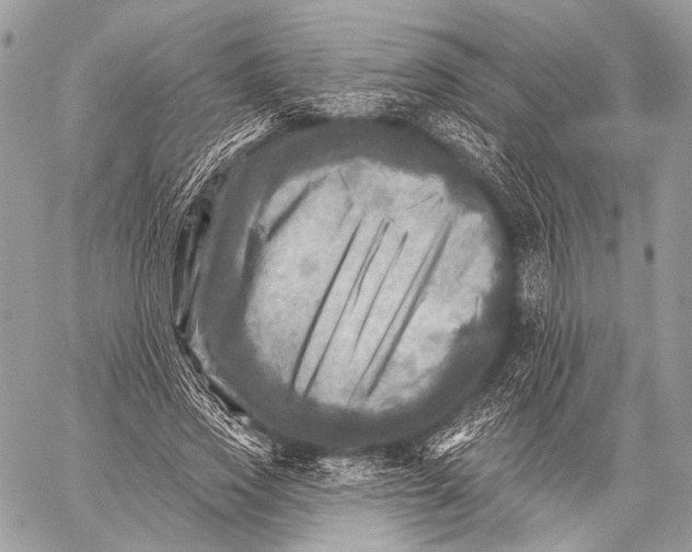 X0000059040733200510281541