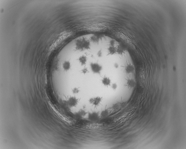 X0000059040734200510281541