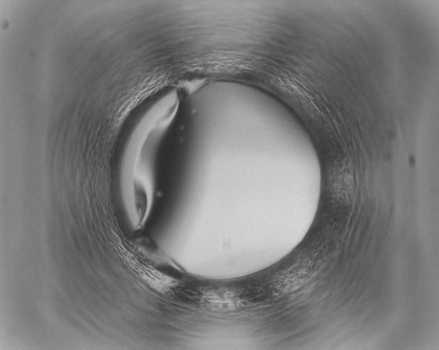 X0000059040735200510281541