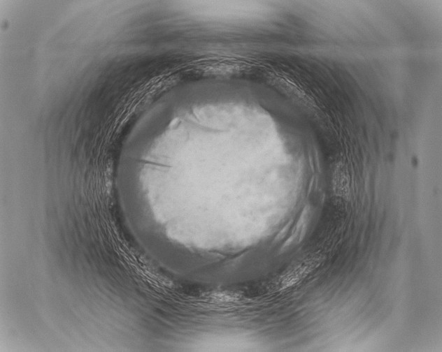 X0000059040737200510281541