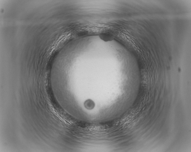 X0000059040738200510281541