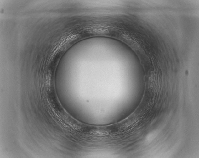 X0000059040739200510281541