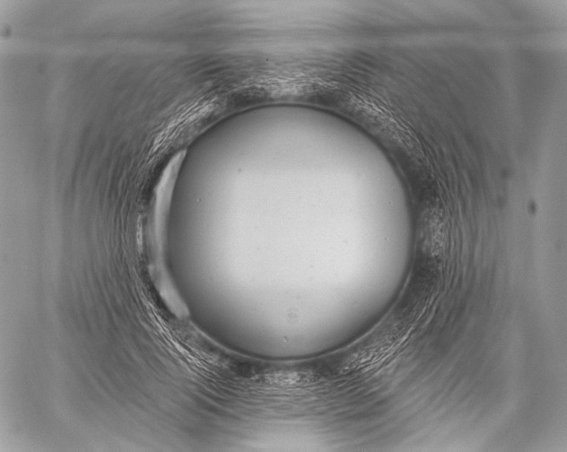 X0000059040740200510281541