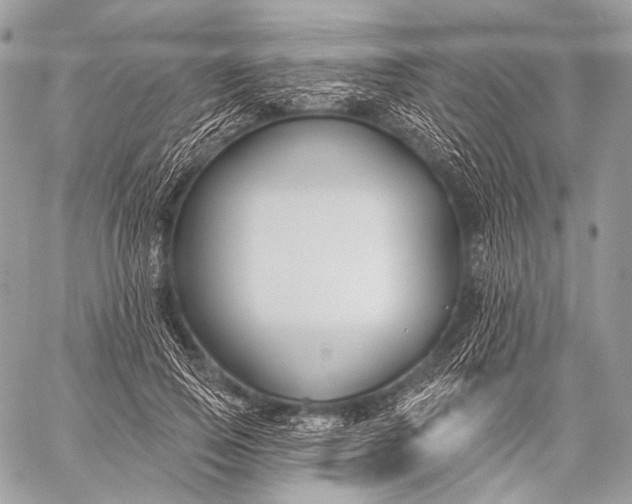 X0000059040741200510281541