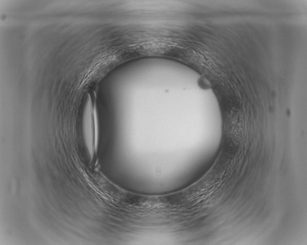 X0000059040742200510281542