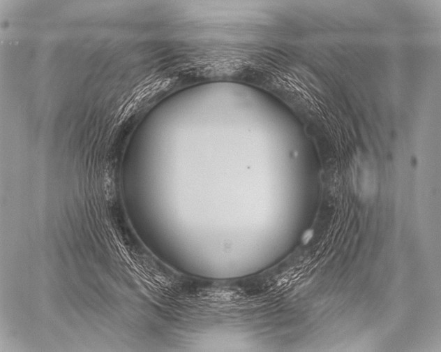 X0000059040743200510281542