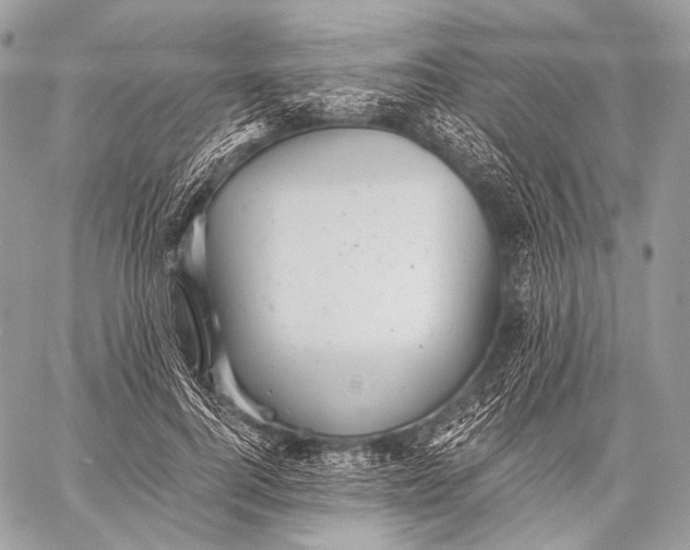 X0000059040744200510281542