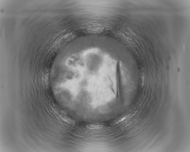 X0000059040745200510281542