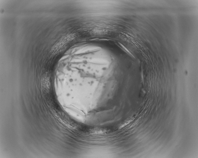 X0000059040746200510281542