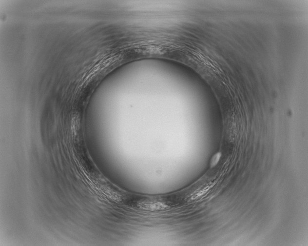 X0000059040747200510281542