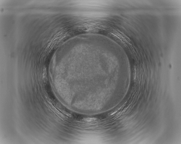 X0000059040748200510281542