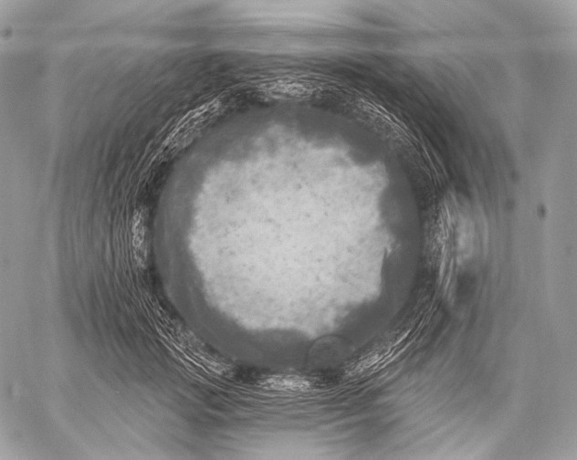 X0000059040749200510281542