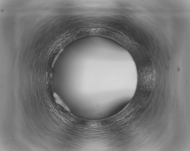 X0000059040750200510281542