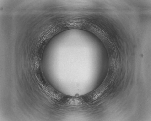 X0000059040751200510281542