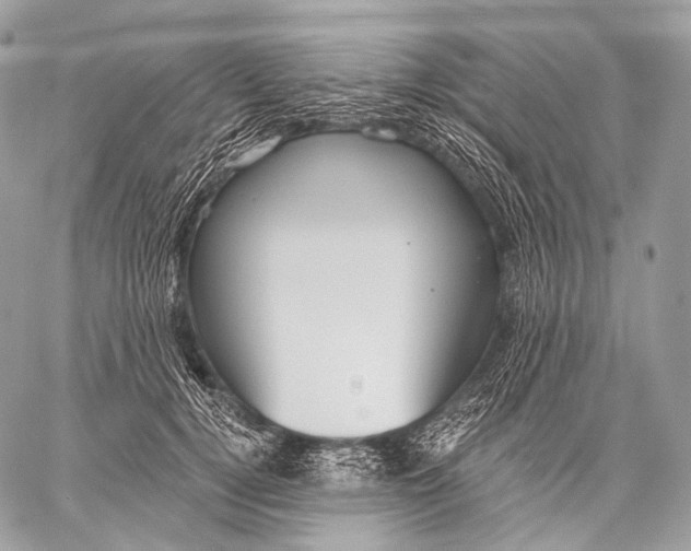 X0000059040752200510281542