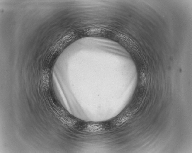 X0000059040753200510281542