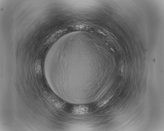 X0000059040754200510281542