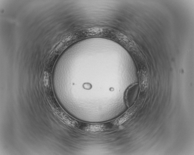 X0000059040758200510281542