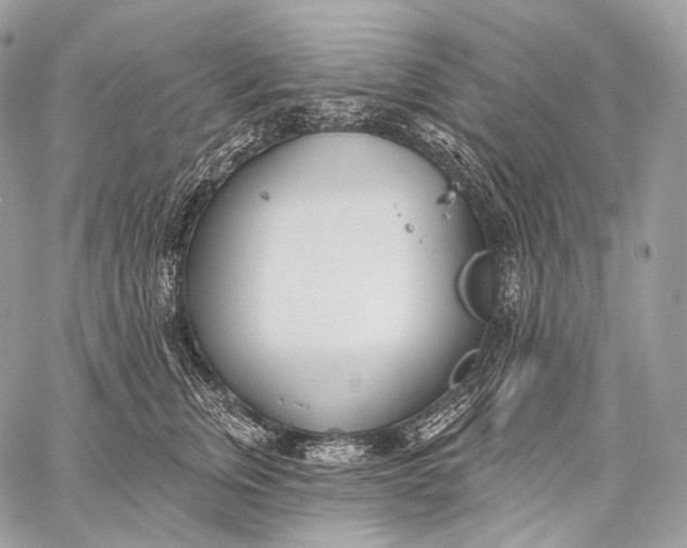 X0000059040759200510281542