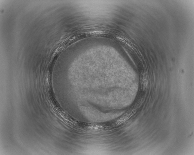 X0000059040760200510281542