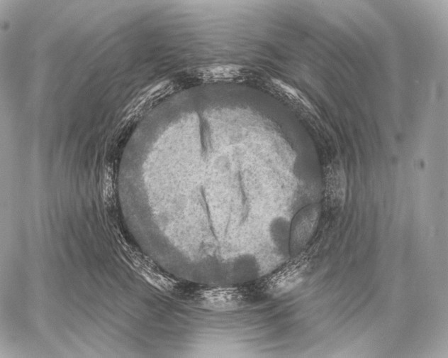 X0000059040761200510281542