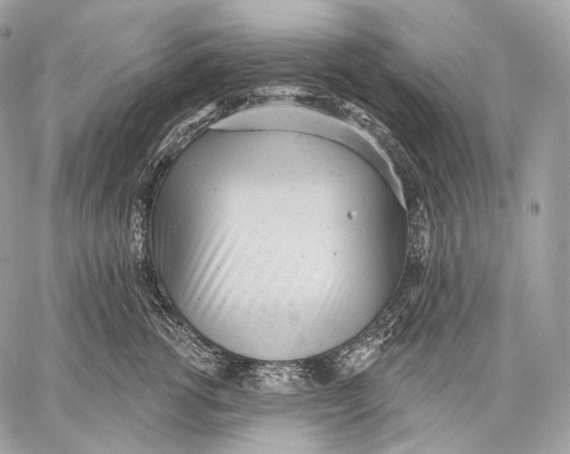 X0000059040762200510281542