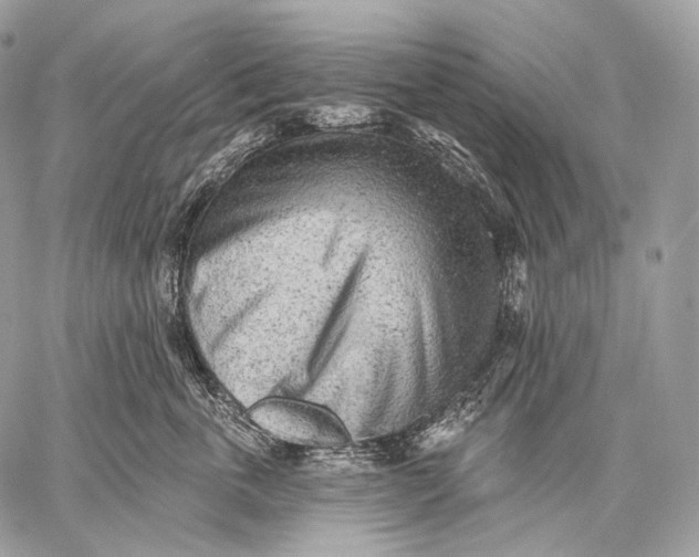 X0000059040763200510281542