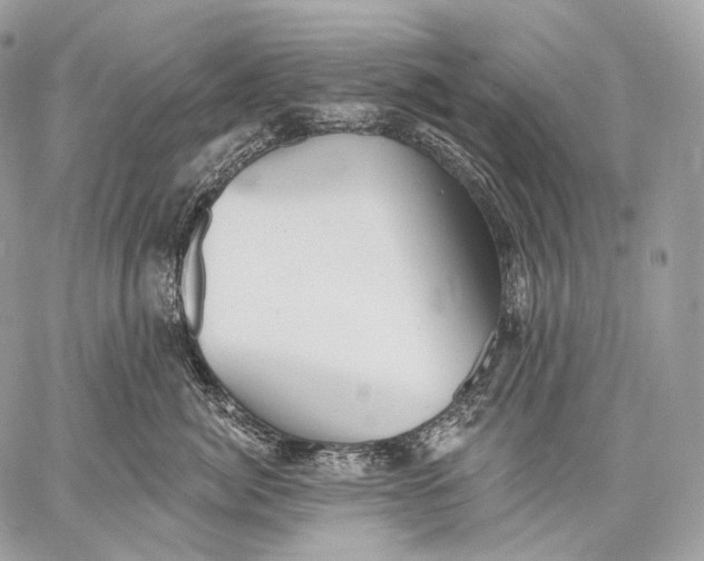 X0000059040764200510281542