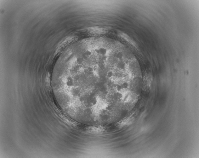 X0000059040765200510281542