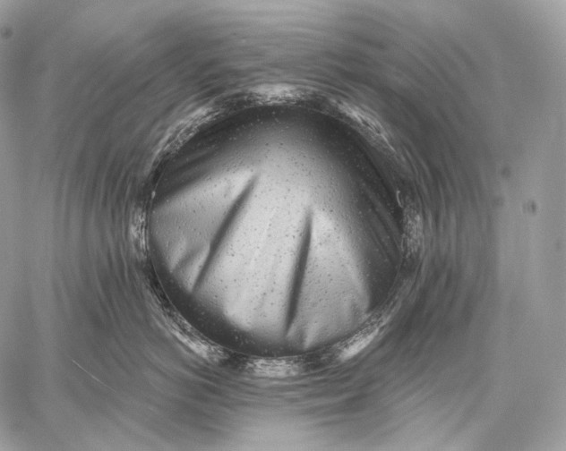 X0000059040766200510281542