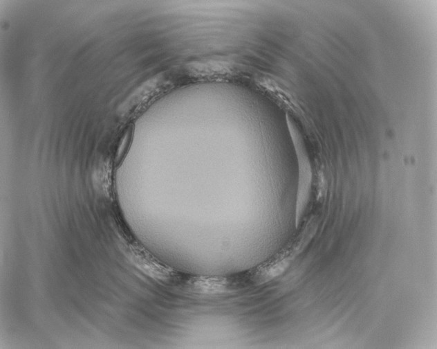 X0000059040767200510281542