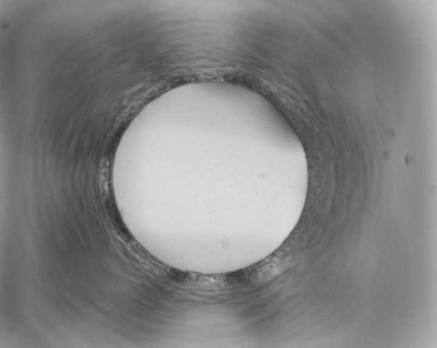 X0000059040768200510281542