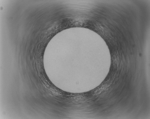 X0000059040769200510281541