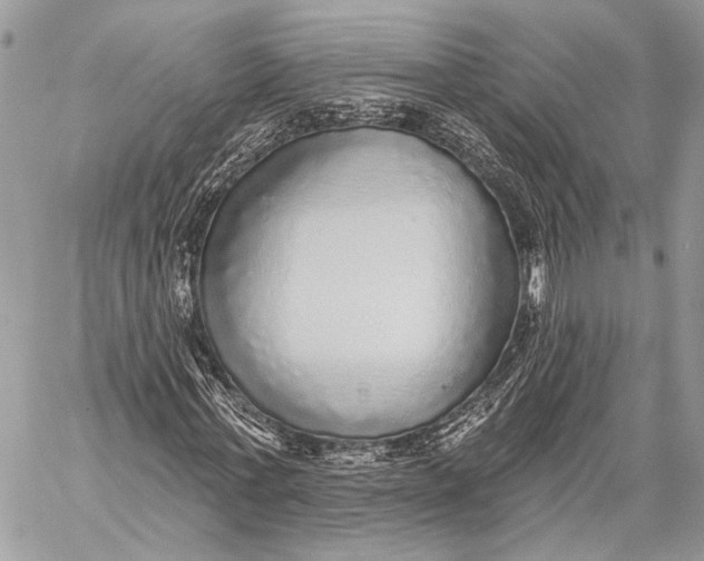 X0000059040771200510281541