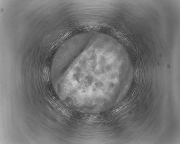 X0000059040772200510281541