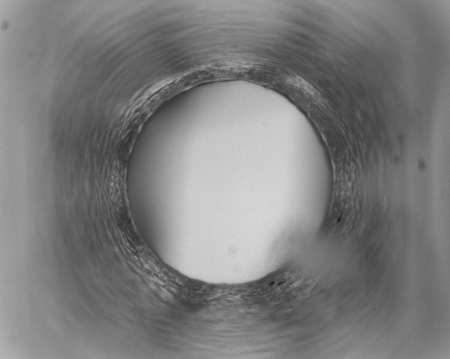 X0000059040773200510281541