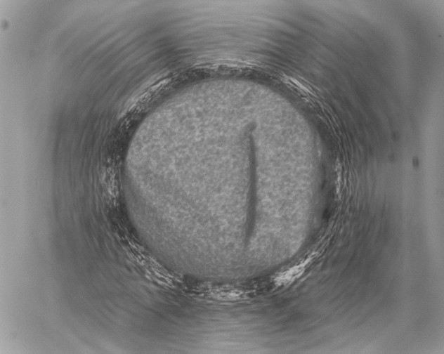 X0000059040774200510281541