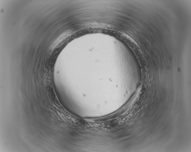 X0000059040775200510281541