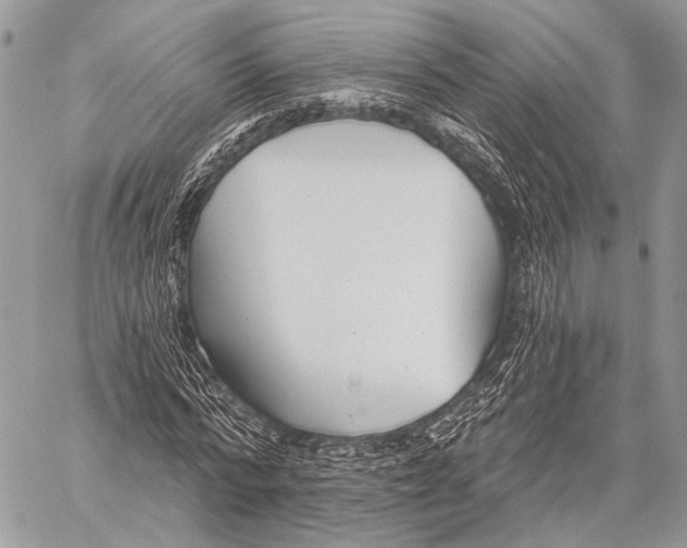 X0000059040776200510281541