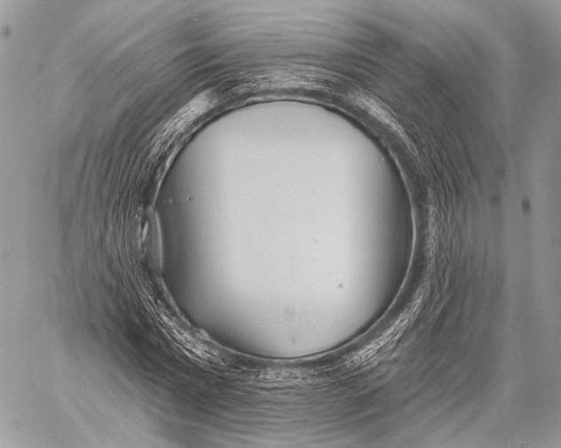 X0000059040777200510281541