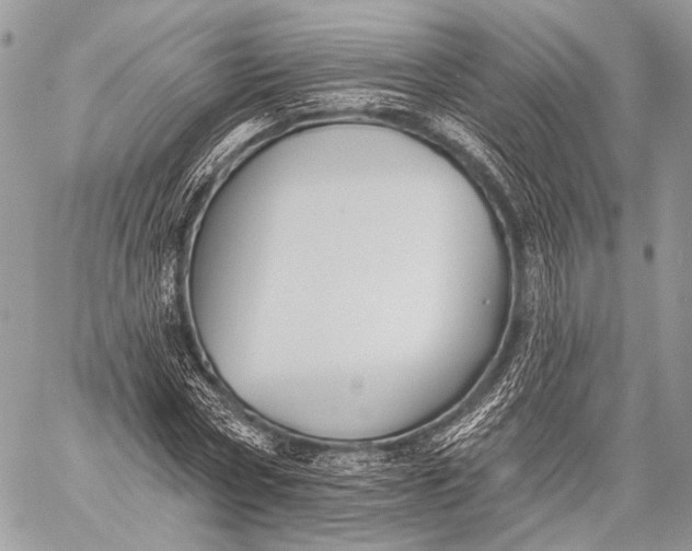 X0000059040778200510281541