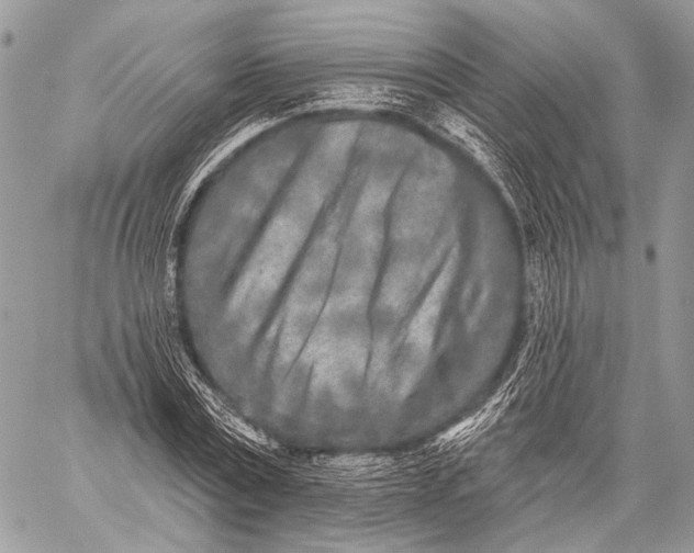 X0000059040779200510281541