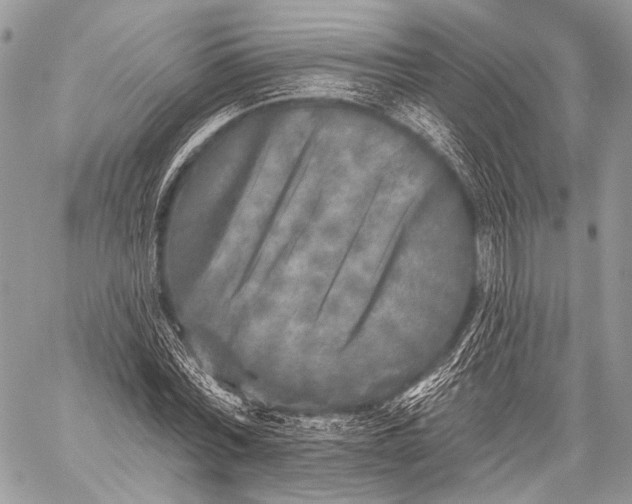 X0000059040780200510281541