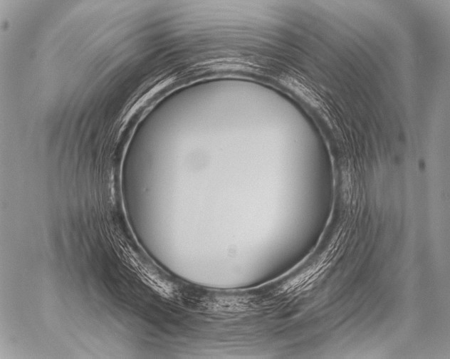 X0000059040782200510281541