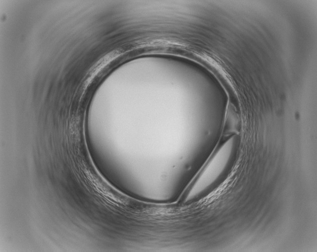 X0000059040783200510281541