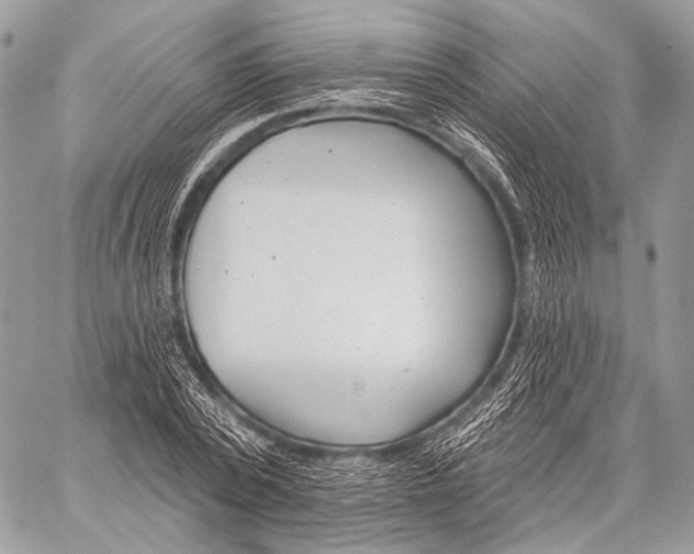 X0000059040784200510281541